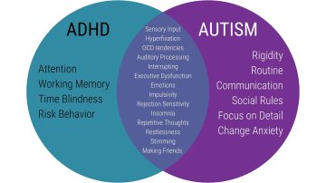 *NEW* Understanding ADHD & Autism for Activity Coaches - Practical Support Course